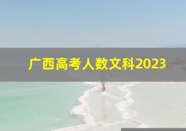 广西高考人数文科2023