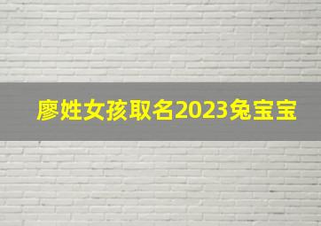 廖姓女孩取名2023兔宝宝