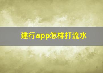 建行app怎样打流水