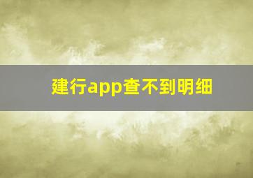 建行app查不到明细