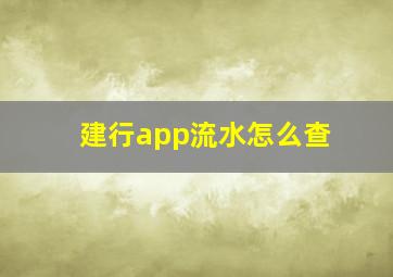 建行app流水怎么查