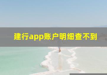 建行app账户明细查不到