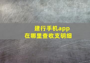 建行手机app在哪里查收支明细