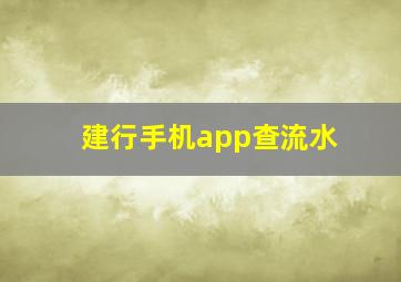 建行手机app查流水