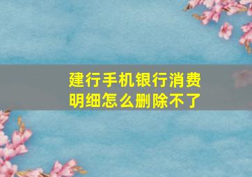 建行手机银行消费明细怎么删除不了