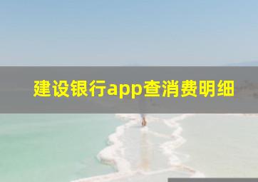 建设银行app查消费明细