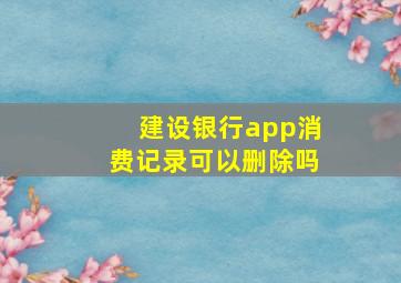 建设银行app消费记录可以删除吗