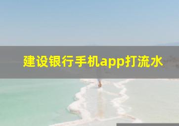 建设银行手机app打流水