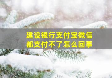 建设银行支付宝微信都支付不了怎么回事