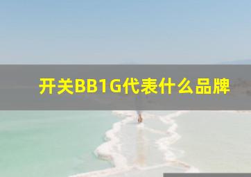 开关BB1G代表什么品牌