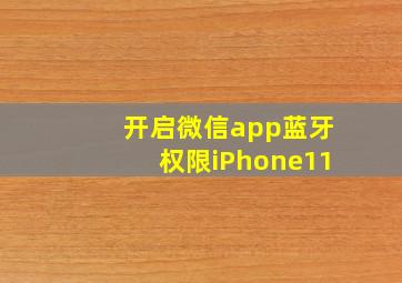 开启微信app蓝牙权限iPhone11