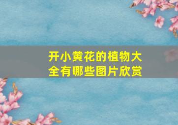 开小黄花的植物大全有哪些图片欣赏