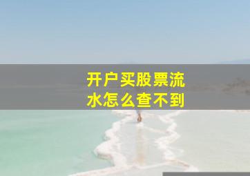 开户买股票流水怎么查不到