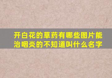 开白花的草药有哪些图片能治咽炎的不知道叫什么名字