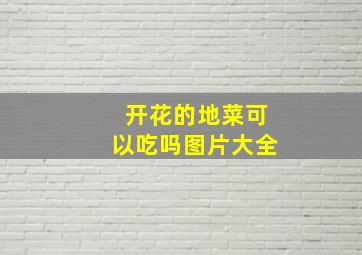 开花的地菜可以吃吗图片大全