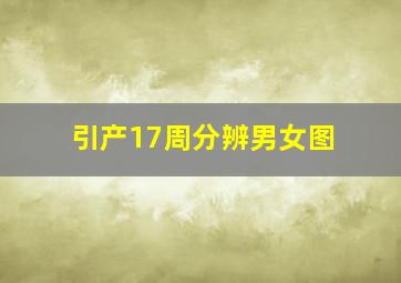 引产17周分辨男女图