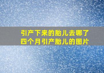 引产下来的胎儿去哪了四个月引产胎儿的图片