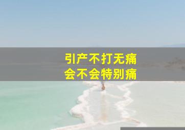 引产不打无痛会不会特别痛