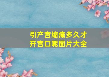 引产宫缩痛多久才开宫口呢图片大全