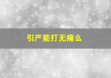 引产能打无痛么