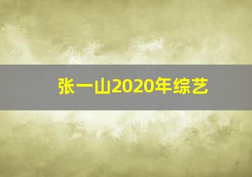 张一山2020年综艺