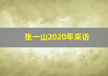 张一山2020年采访