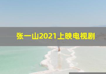 张一山2021上映电视剧