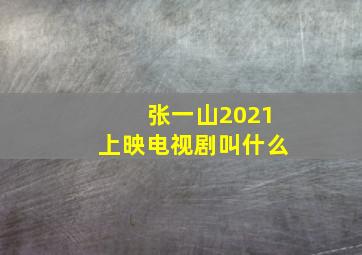 张一山2021上映电视剧叫什么