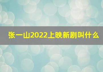 张一山2022上映新剧叫什么