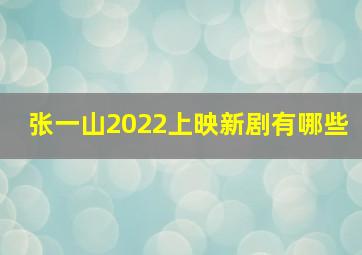 张一山2022上映新剧有哪些