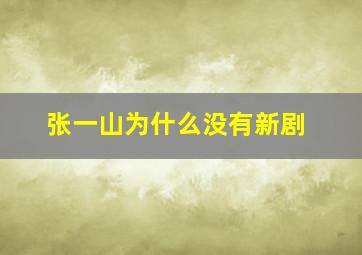 张一山为什么没有新剧