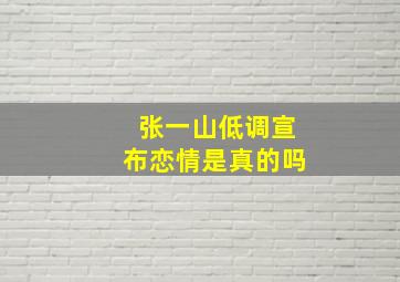 张一山低调宣布恋情是真的吗