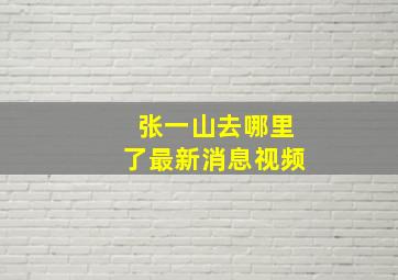 张一山去哪里了最新消息视频