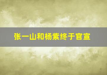 张一山和杨紫终于官宣