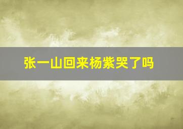 张一山回来杨紫哭了吗