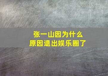 张一山因为什么原因退出娱乐圈了