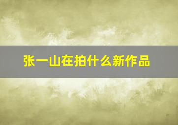 张一山在拍什么新作品