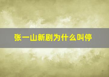 张一山新剧为什么叫停