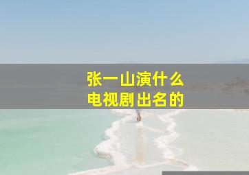 张一山演什么电视剧出名的