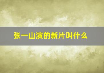 张一山演的新片叫什么