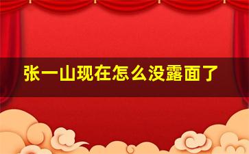 张一山现在怎么没露面了