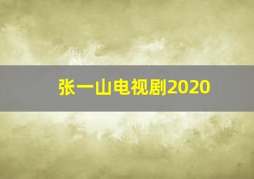 张一山电视剧2020