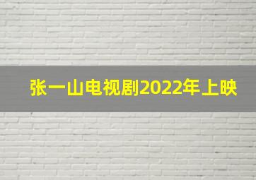 张一山电视剧2022年上映