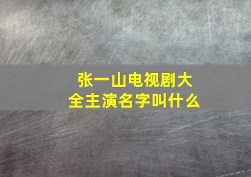 张一山电视剧大全主演名字叫什么