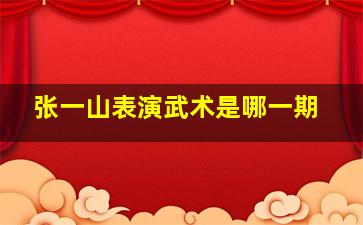 张一山表演武术是哪一期