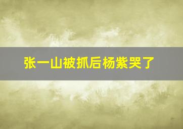 张一山被抓后杨紫哭了