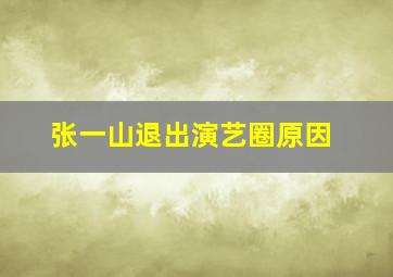 张一山退出演艺圈原因