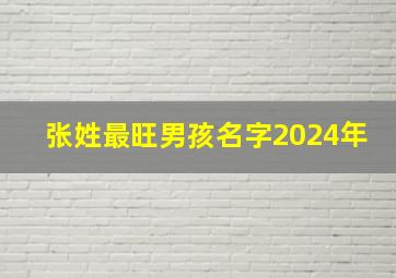 张姓最旺男孩名字2024年