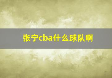 张宁cba什么球队啊