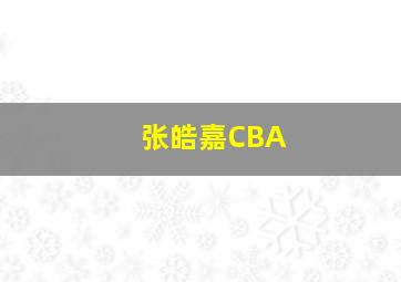 张皓嘉CBA